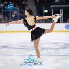 Load image into Gallery viewer, Figure Skating Dress #SD295 (Retro Americana theme)