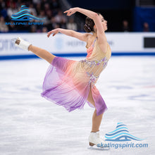 Load image into Gallery viewer, Figure Skating Dress #SD238