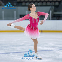 Load image into Gallery viewer, Figure Skating Dress #SD020