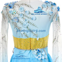 Load image into Gallery viewer, Figure Skating Dress #SD024