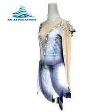 Load image into Gallery viewer, Figure Skating Dress #SD047