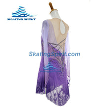 Load image into Gallery viewer, Figure Skating Dress #SD054