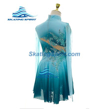 Load image into Gallery viewer, Figure Skating Dress #SD070