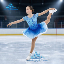 Load image into Gallery viewer, Figure Skating Dress #SD071