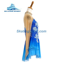 Load image into Gallery viewer, Figure Skating Dress #SD077