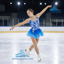Load image into Gallery viewer, Figure Skating Dress #SD077