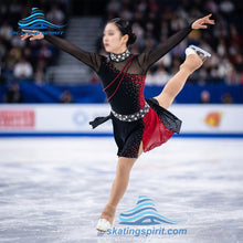 Load image into Gallery viewer, Figure Skating Dress #SD096 (Martial Arts Theme)