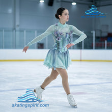 Load image into Gallery viewer, Figure Skating Dress #SD102