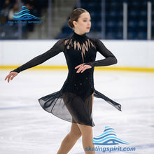Load image into Gallery viewer, Figure Skating Dress #SD104