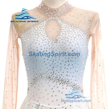 Load image into Gallery viewer, Figure Skating Dress #SD110