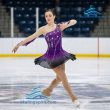 Load image into Gallery viewer, Figure Skating Dress #SD111
