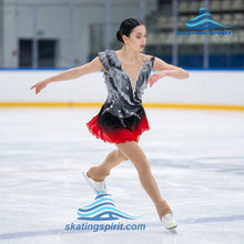 Load image into Gallery viewer, Figure Skating Dress #SD113