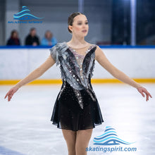 Load image into Gallery viewer, Figure Skating Dress #SD113