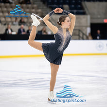 Load image into Gallery viewer, Figure Skating Dress #SD123