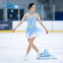 Load image into Gallery viewer, Figure Skating Dress #SD132