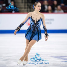 Load image into Gallery viewer, Figure Skating Dress #SD141