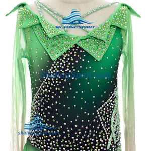 Figure Skating Dress #SD151