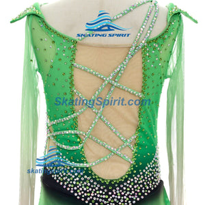 Figure Skating Dress #SD151