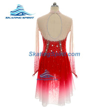 Load image into Gallery viewer, Figure Skating Dress #SD153