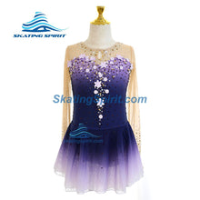Load image into Gallery viewer, Figure Skating Dress #SD160