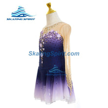 Load image into Gallery viewer, Figure Skating Dress #SD160