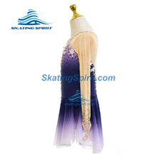 Load image into Gallery viewer, Figure Skating Dress #SD160