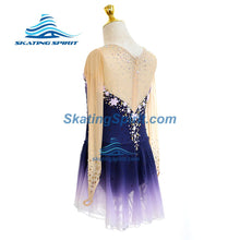 Load image into Gallery viewer, Figure Skating Dress #SD160