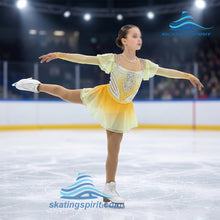 Load image into Gallery viewer, Figure Skating Dress #SD166