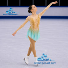 Load image into Gallery viewer, Figure Skating Dress #SD241
