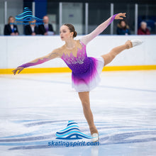 Load image into Gallery viewer, Figure Skating Dress #SD248