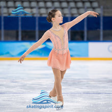 Load image into Gallery viewer, Figure Skating Dress #SD251