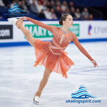Load image into Gallery viewer, Figure Skating Dress #SD271