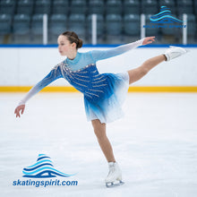 Load image into Gallery viewer, Figure Skating Dress #SD274