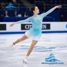 Load image into Gallery viewer, Figure Skating Dress #SD274