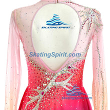 Load image into Gallery viewer, Figure Skating Dress #SD274