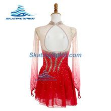 Load image into Gallery viewer, Figure Skating Dress #SD289