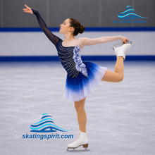 Load image into Gallery viewer, Figure Skating Dress #SD294