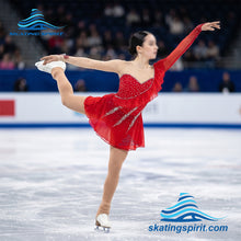 Load image into Gallery viewer, Figure Skating Dress #SD305
