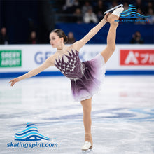 Load image into Gallery viewer, Figure Skating Dress #SD311