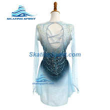 Load image into Gallery viewer, Figure Skating Dress #SD313