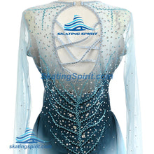 Load image into Gallery viewer, Figure Skating Dress #SD313