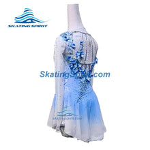 Load image into Gallery viewer, Figure Skating Dress #SD315