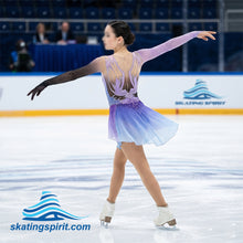 Load image into Gallery viewer, Figure Skating Dress #SD329