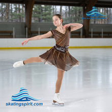Load image into Gallery viewer, Figure Skating Dress #SD334