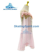 Load image into Gallery viewer, Figure Skating Dress #SD349