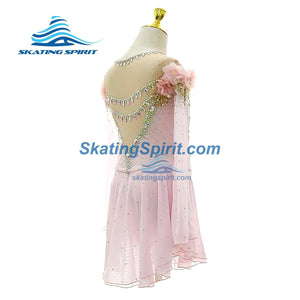 Figure Skating Dress #SD349