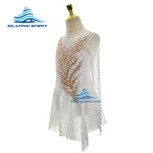 Load image into Gallery viewer, Figure Skating Dress #SD376