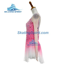 Load image into Gallery viewer, Figure Skating Dress #SD380