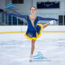 Load image into Gallery viewer, Figure Skating Dress #SD387