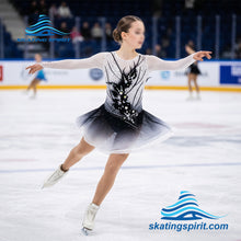 Load image into Gallery viewer, Figure Skating Dress #SD417